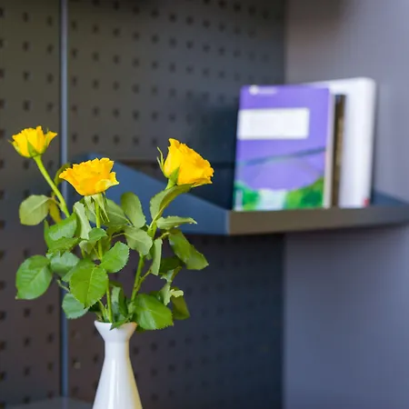 米克雷姆沙伊德酒店 雷姆沙伊德