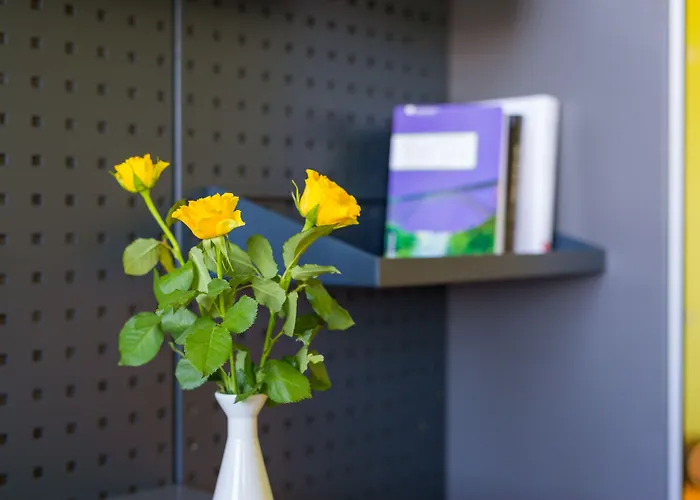 米克雷姆沙伊德酒店 雷姆沙伊德