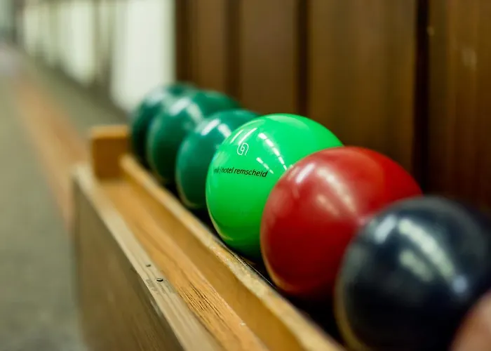 酒店 米克雷姆沙伊德酒店