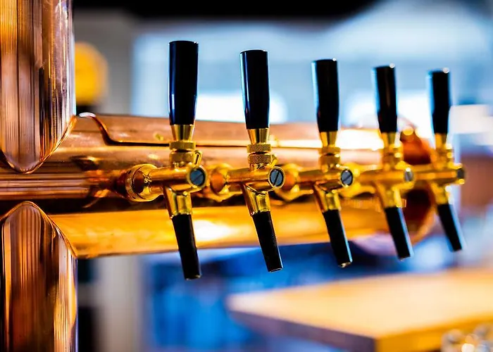 米克雷姆沙伊德酒店 4*